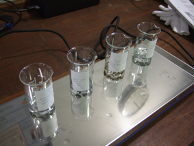 beakers of paper for pH testing