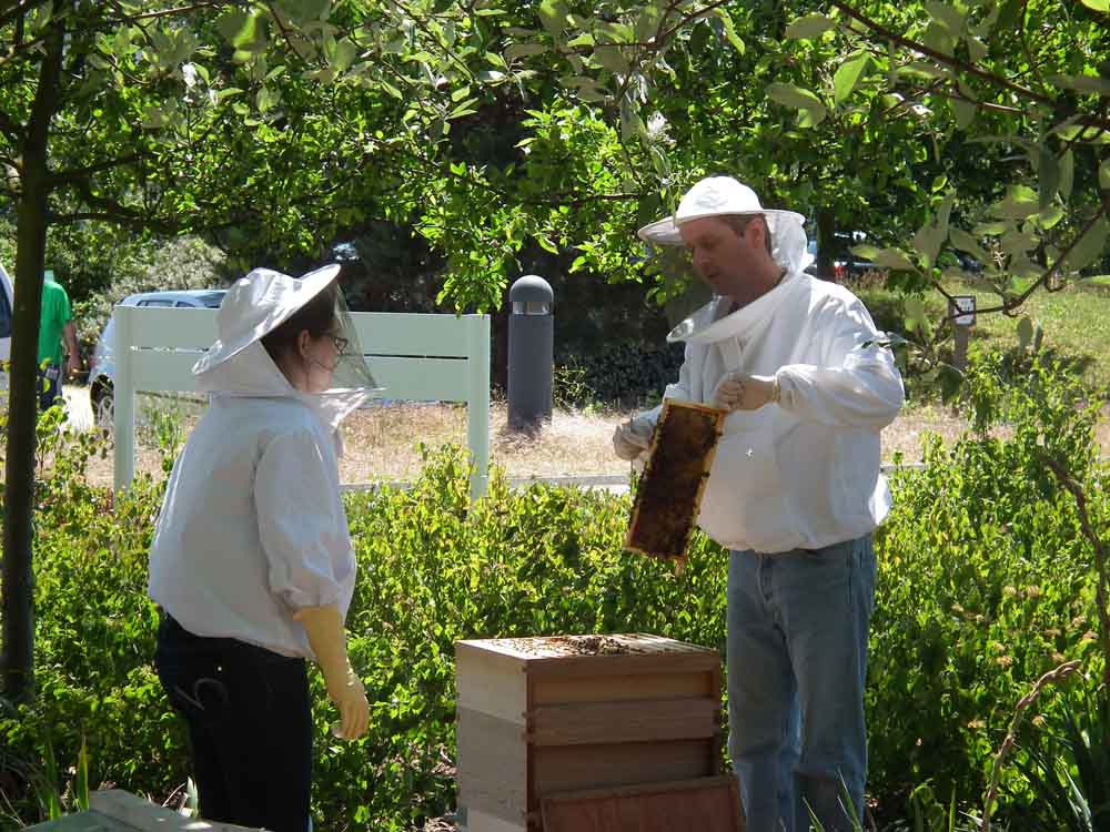 Meeting the beekeeper at Green Day 2011