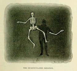 Illustration of magic trick showing skeleton with disguised assistant to make it seem disarticulated