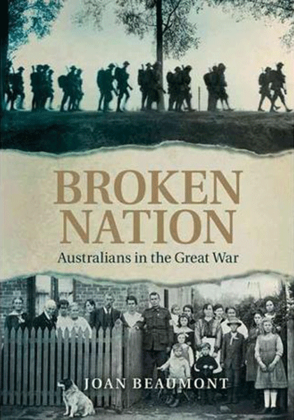 Jacket cover image for Broken Nation