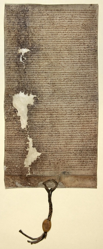 Medieval manuscripts blog: Magna Carta