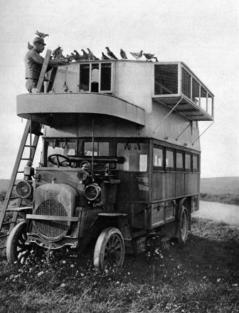  Carrier pigeons on active service with the French Army using a converted bus 1915
