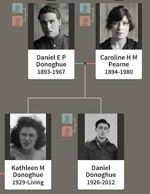 Screen shot of Family Tree on Ancestry showing Dan, Hetty and their children