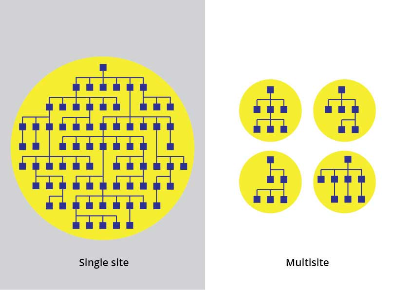 multisite-illustration