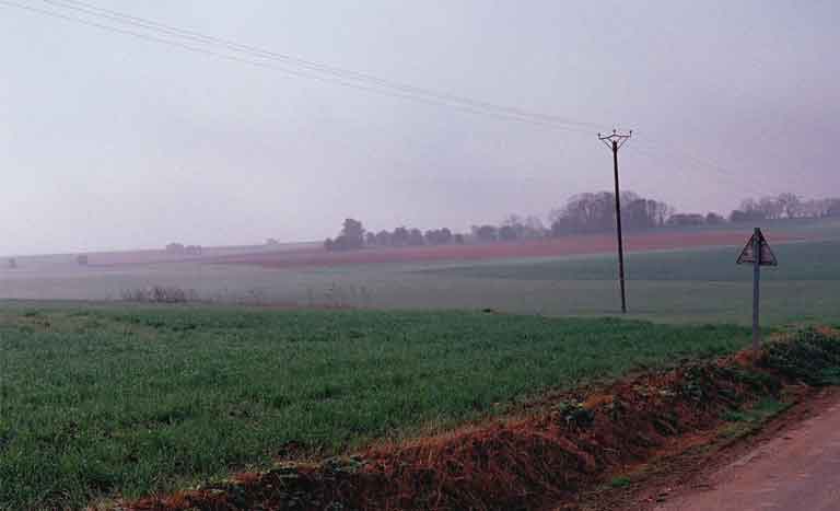 Figure 1: Gommecourt Field, Research Photograph