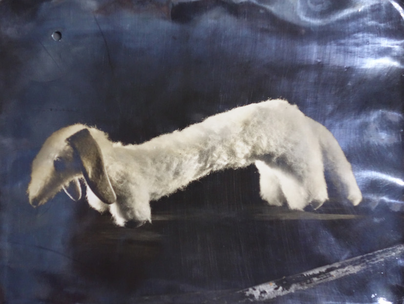 Image of a silver gelatine print of a toy dachshund