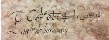 Signatures of Cardinal Thomas Wolsey and Cardinal Louis de Bourbon authorising their letter to the Pope in captivity (Catalogue reference: E30/1449)