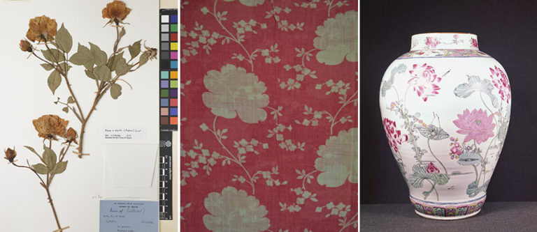 Three images showing patterns, from collections at Kew Gardens, The National Archives, and the Victoria and Albert museum.