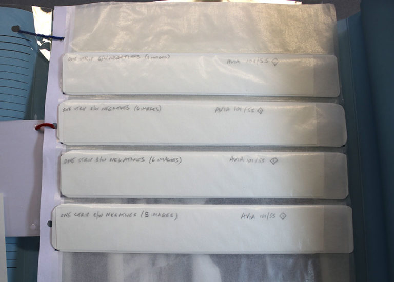 Negative strips rehoused in archival paper enclosures.
