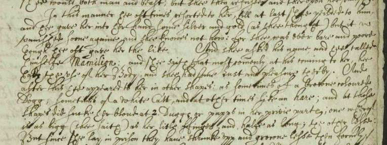 Detail from the letter of the Bishop of Chester to the Privy Council, describing his conversation with Margaret Johnson.