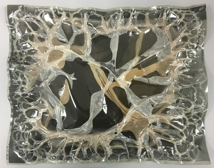 A cellulose acetate negative in the late stages of deterioration.