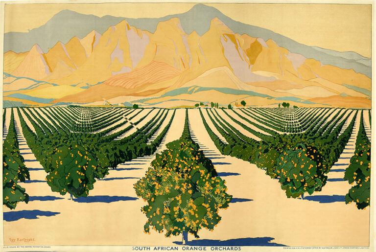 Colourful graphic of fields of orange orchards with mountains the background.