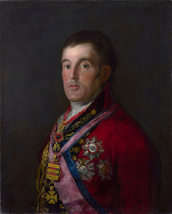 Colour painted portrait of The Duke of Wellington in military dress.