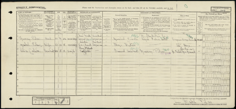 Census record for Murray Pilcer.