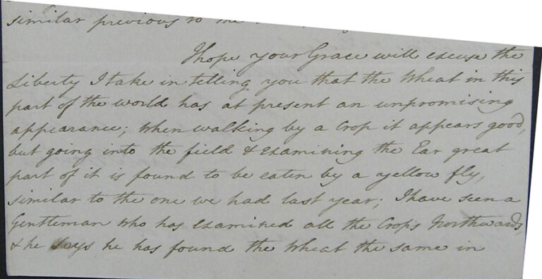 Extract from a handwritten letter.