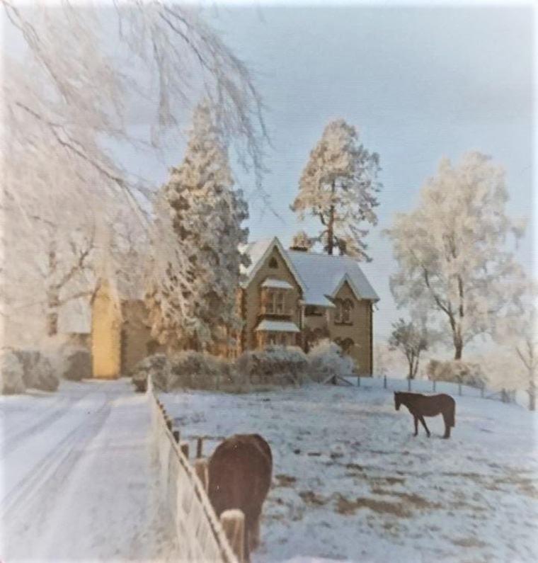 The house is shown in the background. In the foreground two horses graze in a field covered in snow.