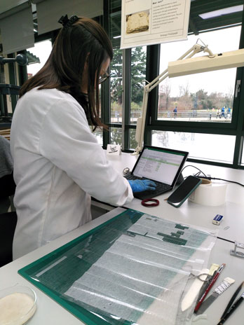 A woman in a white lab coat types at a computer.