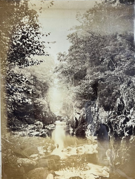 A black and white photograph of river running through a forest. 