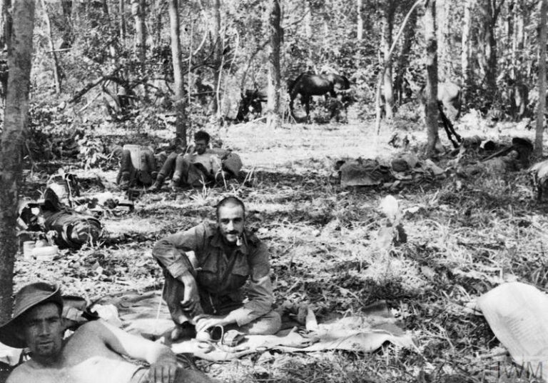 A handful of horses and people sitting or lying down in a forest.