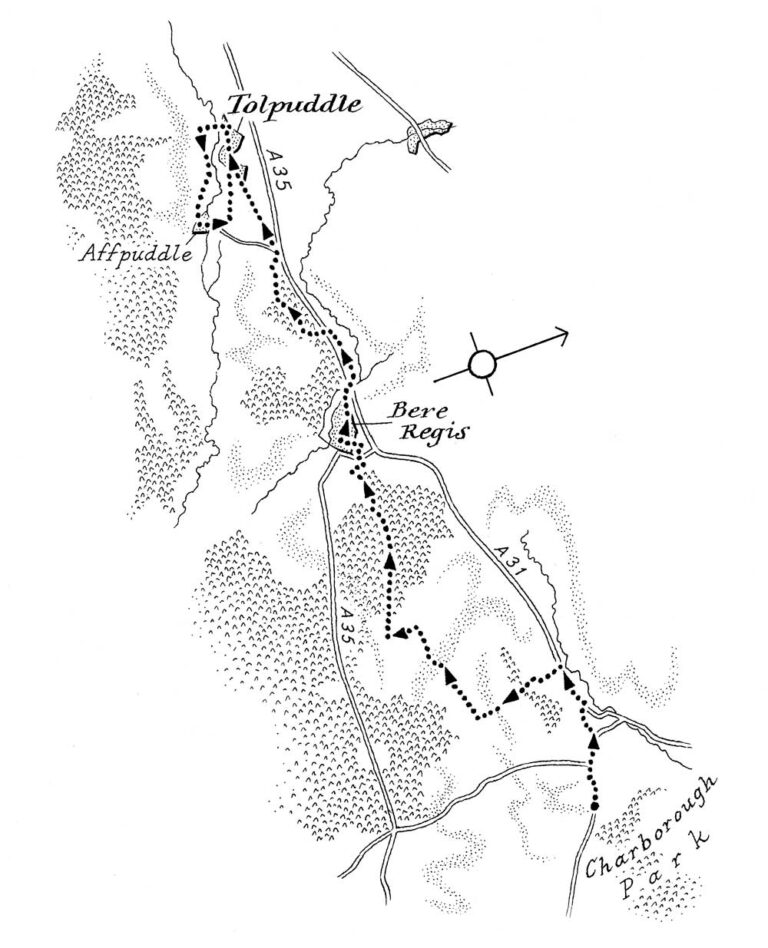 Black and white map with a route marked from Charborough Park to Tolpuddle, crossing roads and forests. 