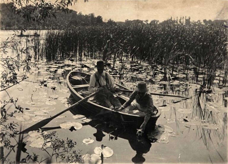 Black and white photograph of two people in a rowing boat, surrounded by water lilies and reeds.